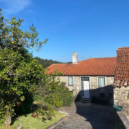 Villa Casa Do Carqueijo Vila Praia de Âncora Exterior foto